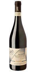 Amarone della Valpolicella Ca' Coato 2020 Antolini photo