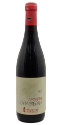 Amarone della Valpolicella La Fabriseria 1997 Tedeschi photo