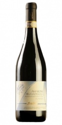 Amarone della Valpolicella Moropio 2020 Antolini photo