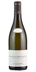 Chassagne-Montrachet 2022 Domaine Thomas Morey photo