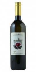 Costa d'Amalfi Tramonti Bianco Per Eva 2021 Tenuta San Francesco photo