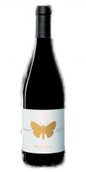 Montepulciano d'Abruzzo Nostradamus 2012 Ausonia photo