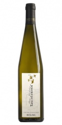 Riesling 2020 Taschlerhof photo