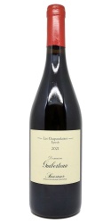 Saumur Chapaudaises 2021 Domaine Guiberteau photo