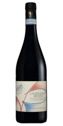 Valpolicella Ripasso 2023 Antolini photo