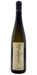 Sylvaner 2017 Taschlerhof photo