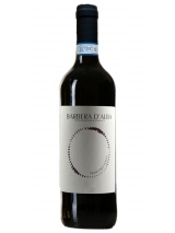 Barbera d'Alba 2023 Francesco Versio photo