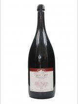 Barbera d'Alba Vigna Vigia 3L 2005 3L Bricco Maiolica photo