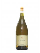 Chardonnay Monteriolo Magnum 2010 Magnum Coppo photo