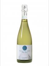 Franciacorta Extra Brut Riserva 2011 Camossi photo