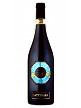 Gattinara 2019 Il Chiosso photo