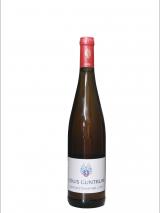 Gewürztraminer foto