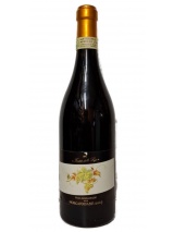 Moscato d'Asti Piasa Sanmaurizio 2005 Forteto della Luja photo