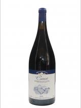 Nebbiolo d'Alba Il Cumot 2003 Magnum Bricco Maiolica photo