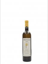 Pinot Bianco Talis foto