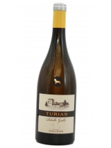 Ribolla Gialla Turlan 2016 Collavini photo