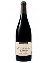 Saumur-Champigny Les Bois Blancs 2019 Le P'tit Domaine photo