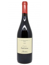 Saumur Chapaudaises 2021 Domaine Guiberteau photo