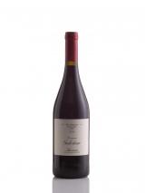 Saumur Les Arboises 2014 Domaine Guiberteau photo