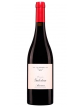 Saumur Les Arboises Monopole Brézé 2021 Domaine Guiberteau photo