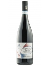 Valpolicella Ripasso 2022 Antolini photo