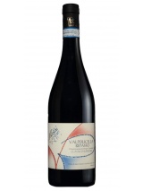 Valpolicella Ripasso 2023 Antolini photo