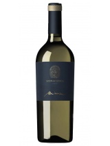 Verdicchio di Matelica Riserva Mirum 2020 La Monacesca photo