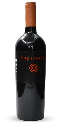 Capatosta 2006 picture