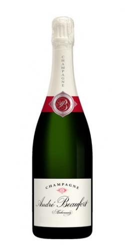 Champagne Brut Grand Cru Ambonnay 2004 picture