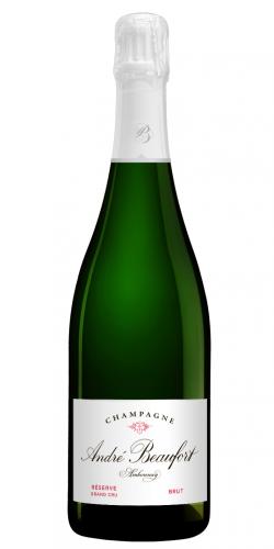 Champagne Brut Grand Cru Ambonnay 2006 picture