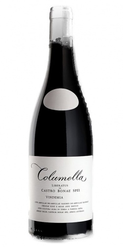 Columella 2022 picture