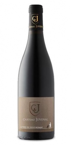 La Terre du Petit Homme 2015 picture