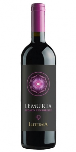 Lemuria 2015 picture