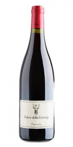Pinot Nero 2021 picture
