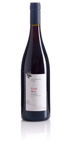Pinot Nero 2022 picture