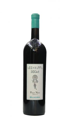 Pinot Nero Acchiappasogni 2011 picture