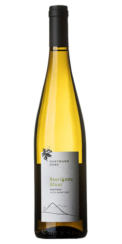 Sauvignon 2023 picture
