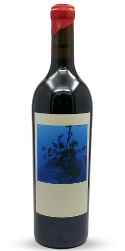 Syrah Piranha Waterdance 2014 picture