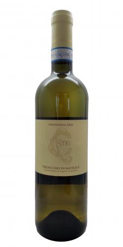 Verdicchio di Matelica 2020 picture